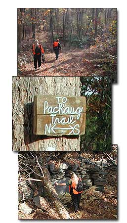 Pachaug State Forest