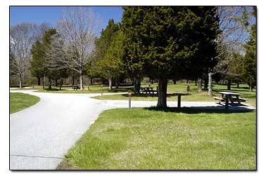 Rocky Neck Camping