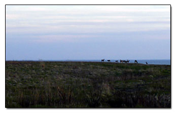 Wildlife Refuge RI